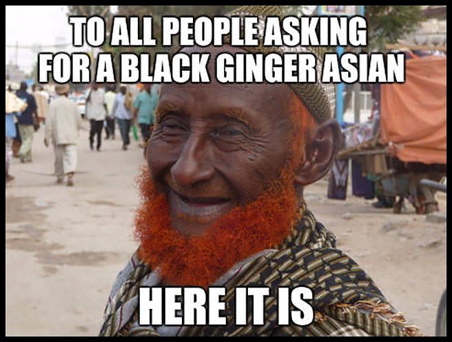 Obrázek black ginger asian