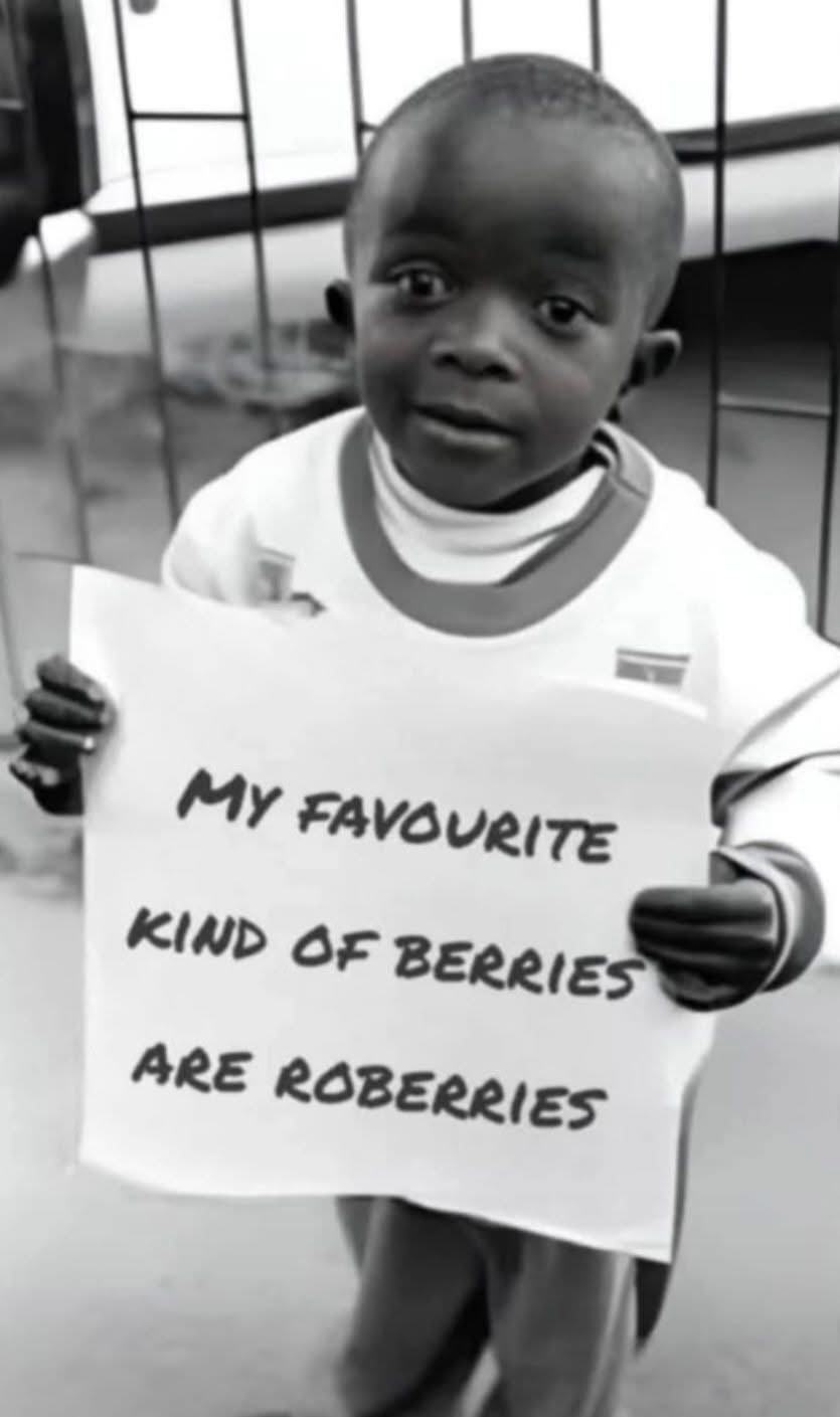 Obrázek blackberries