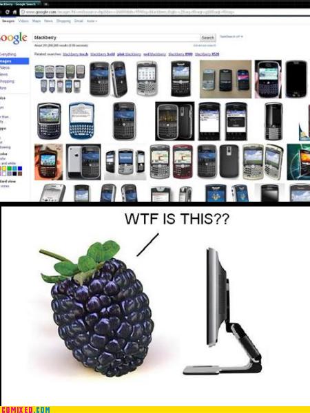 Obrázek blackberry1