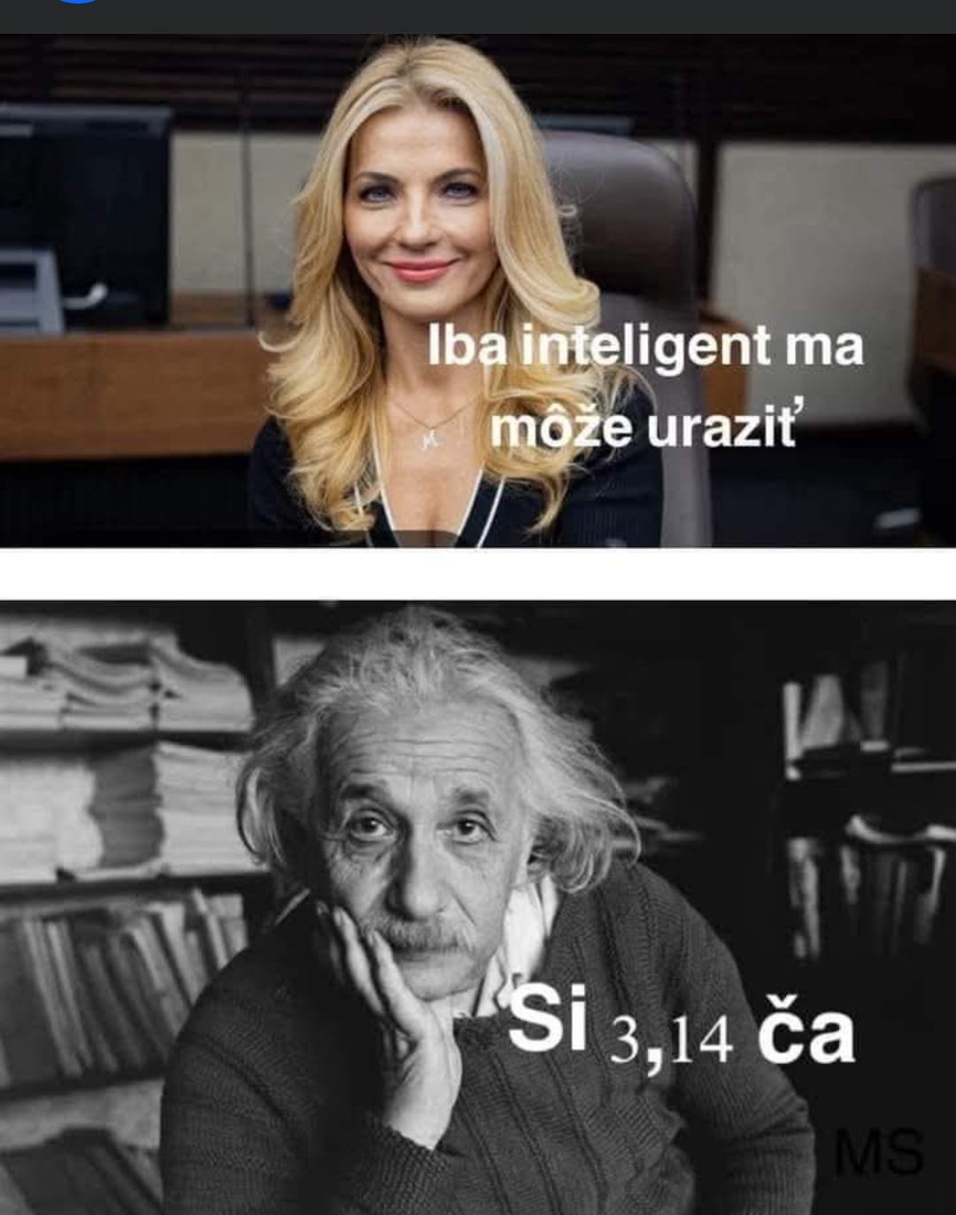 Obrázek blbka SK