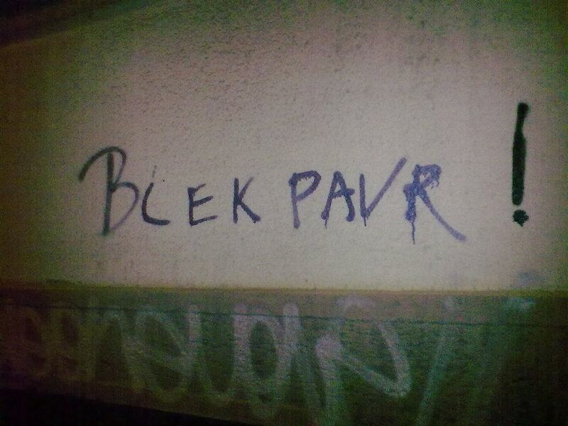 Obrázek blek pavr