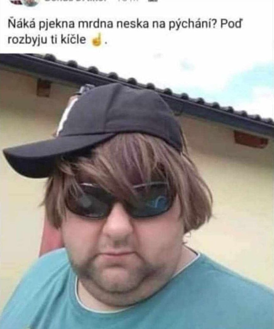 Obrázek blm se seznamuje
