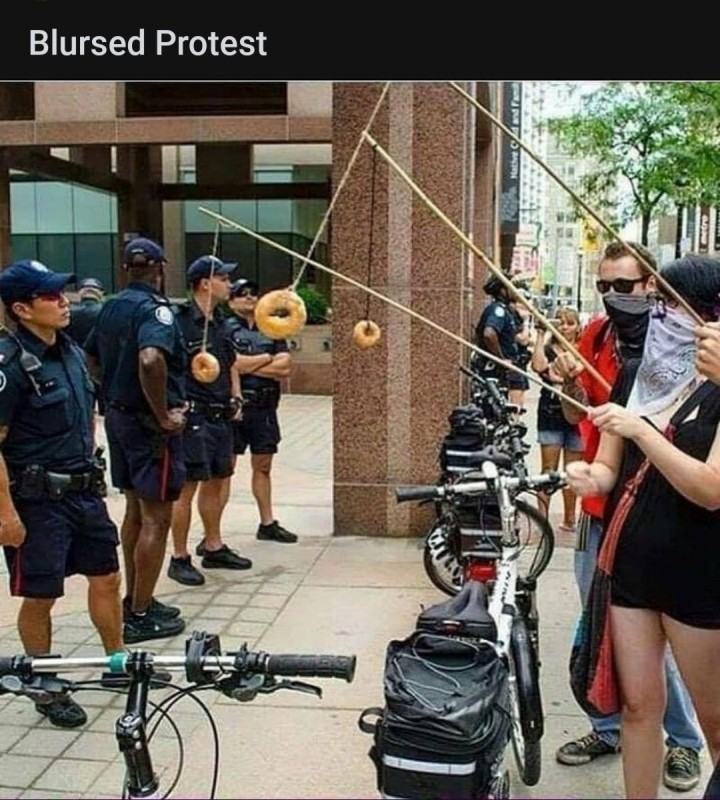 Obrázek blursed protest  donut bait