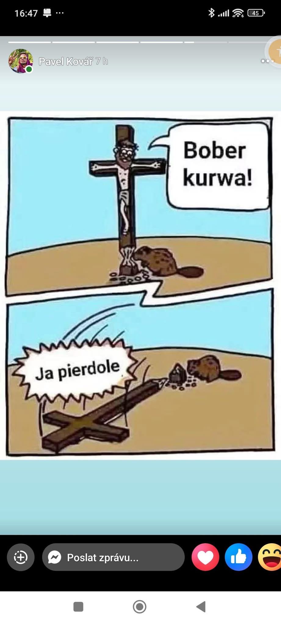 Obrázek bober kurwa jesus