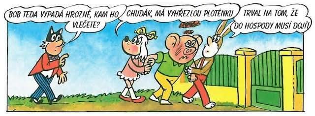 Obrázek bobik&nbsp;u&nbsp;doktora