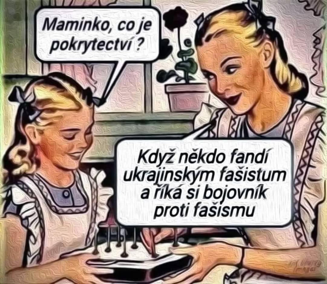 Obrázek bojovnik kmikal a spol