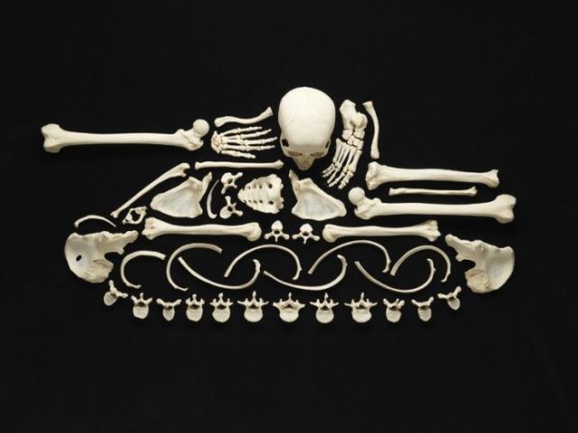 Obrázek bone art 02