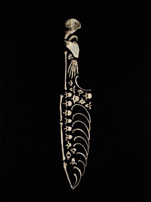 Obrázek bone art 04