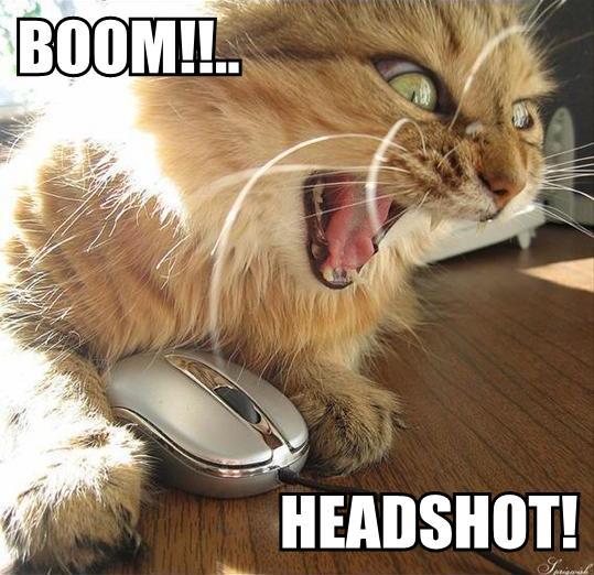 Obrázek boom-headshot