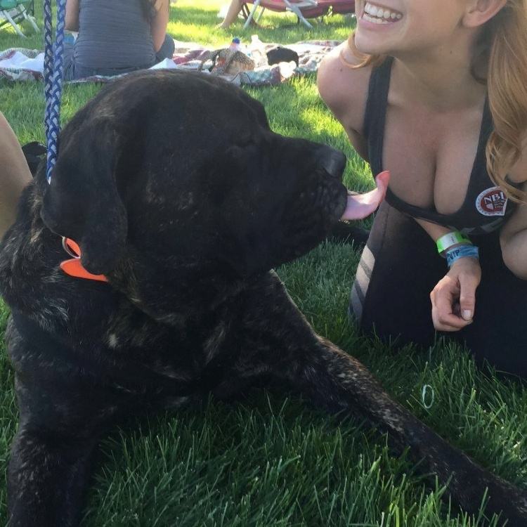 Obrázek booooobs&nbsp;&nbsp;&nbsp;&nbsp;