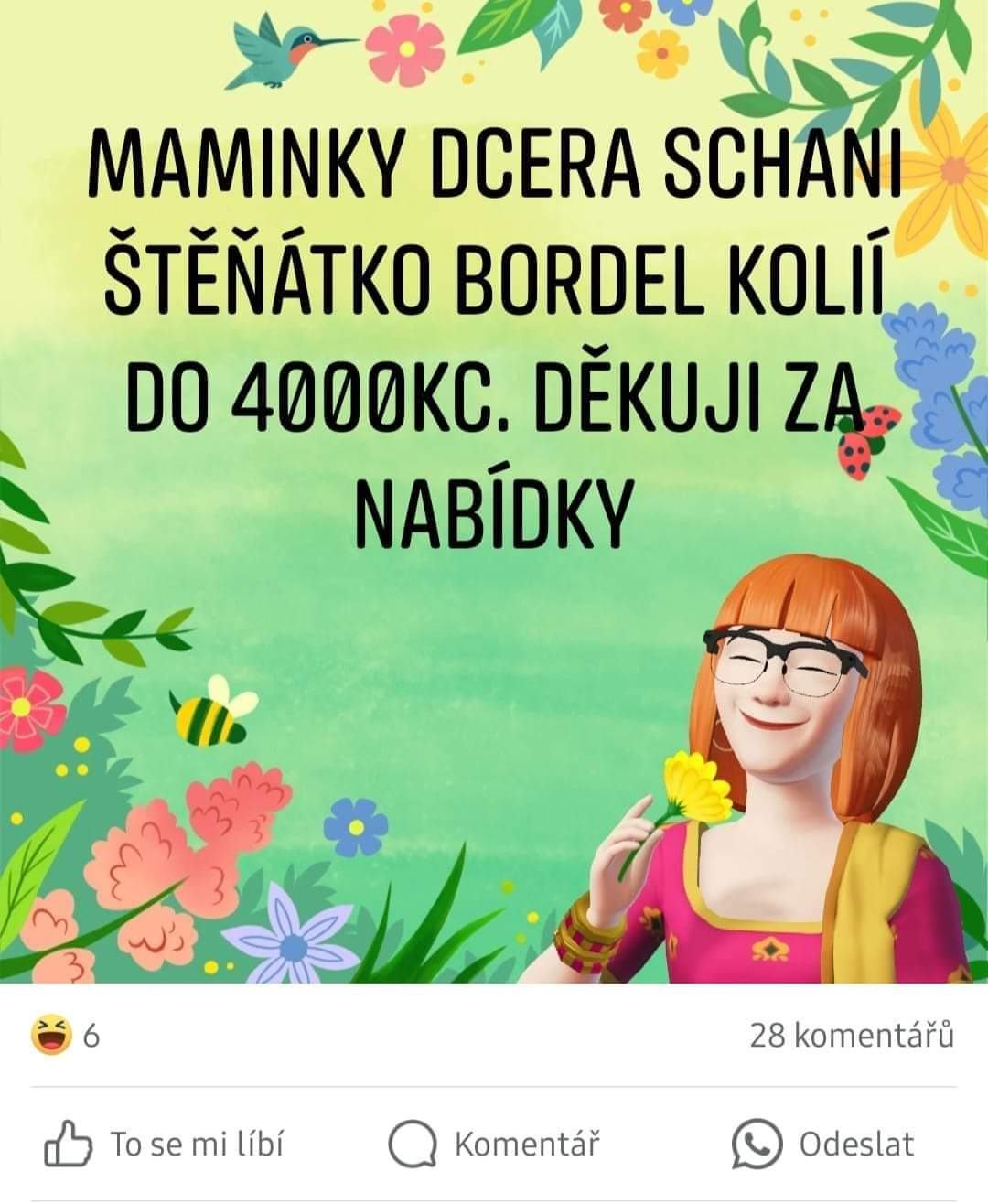 Obrázek bordel kolie