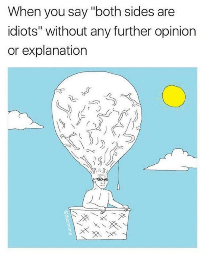 Obrázek both sides are idiots