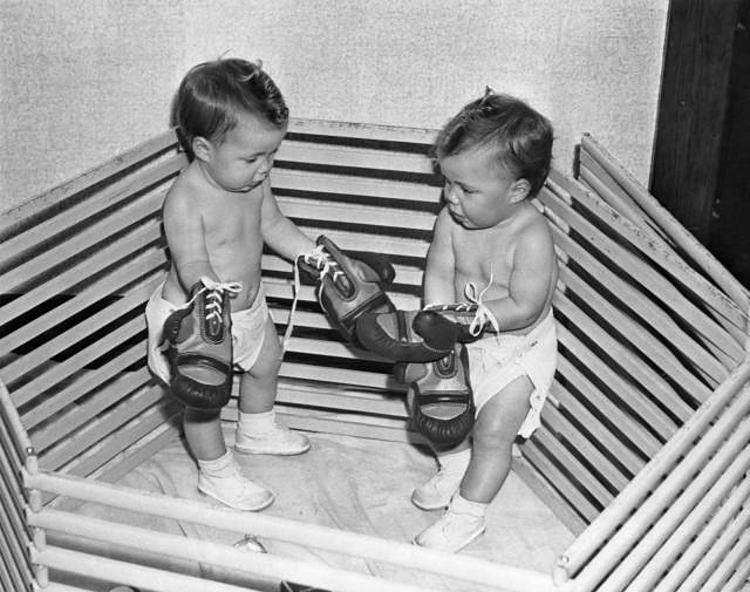 Obrázek boxkids