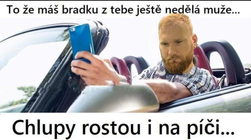 Obrázek bradka muze