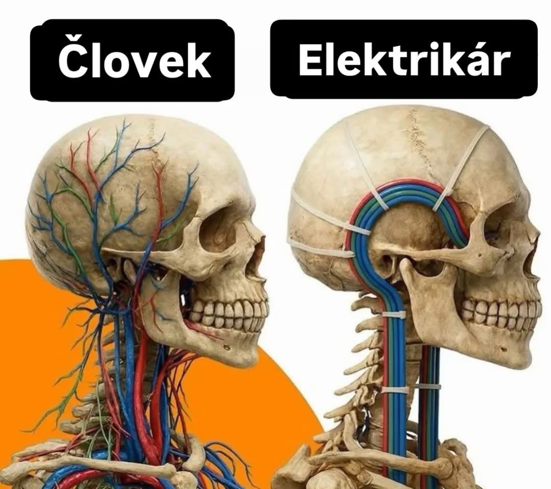 Obrázek brain&nbsp;management