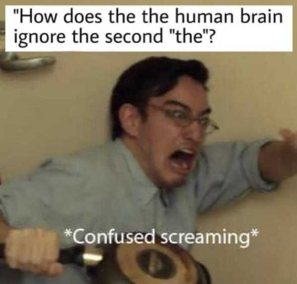 Obrázek brain vs eyes