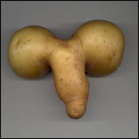 Obrázek brambor
