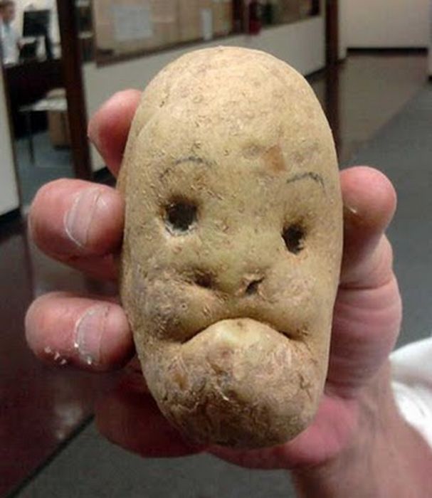 Obrázek brambora 