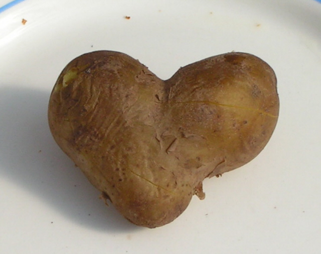 Obrázek bramborove srdicko