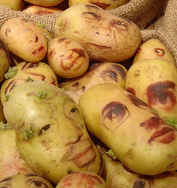 Obrázek brambory