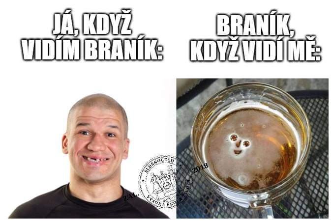 Obrázek branicek