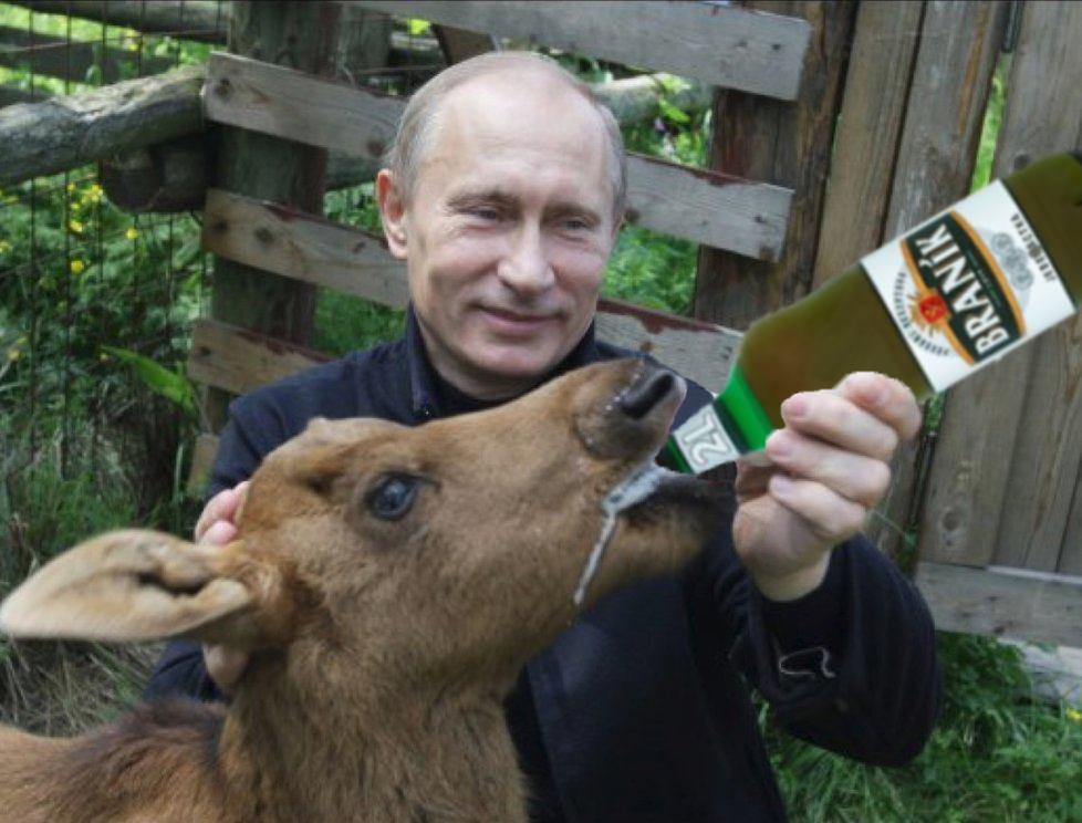 Obrázek branik do kazde ZOO