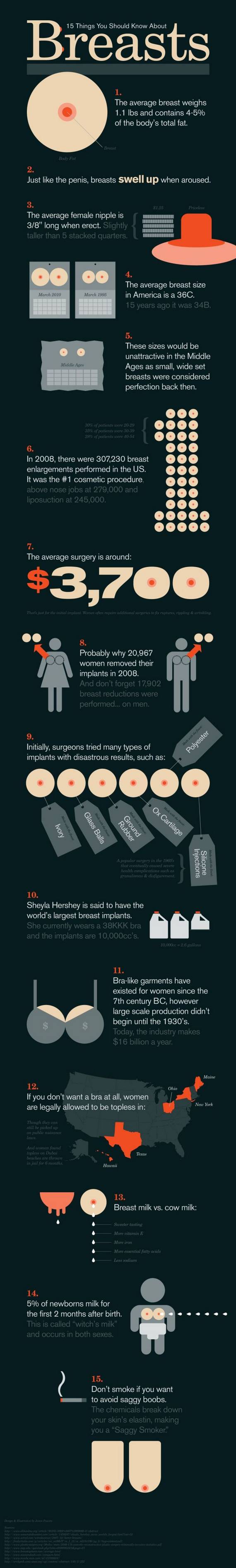 Obrázek breast-facts01