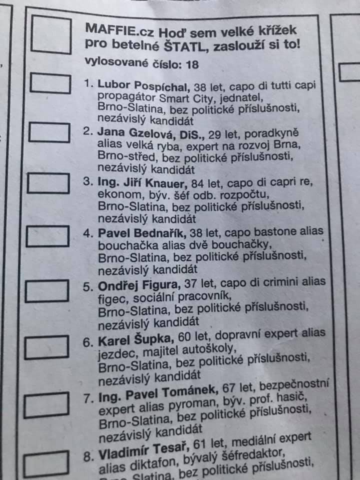 Obrázek brno-brnein-brnon-brniet-kandidatka komunal 2018