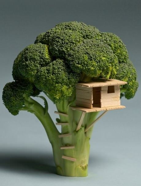 Obrázek broccoli house