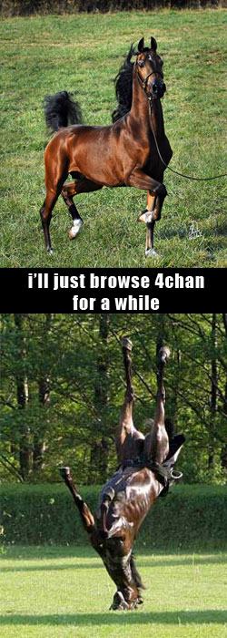 Obrázek browsed 4chan for a while