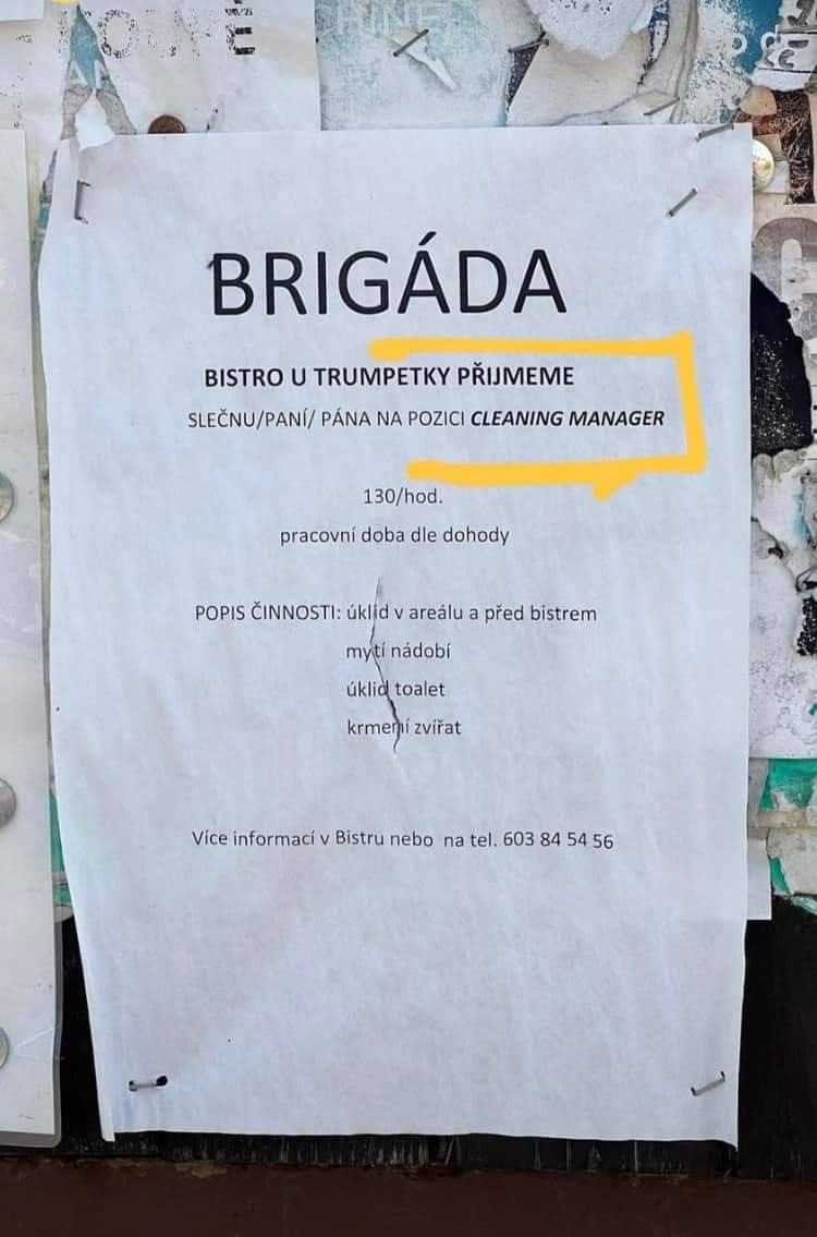 Obrázek brugada snu