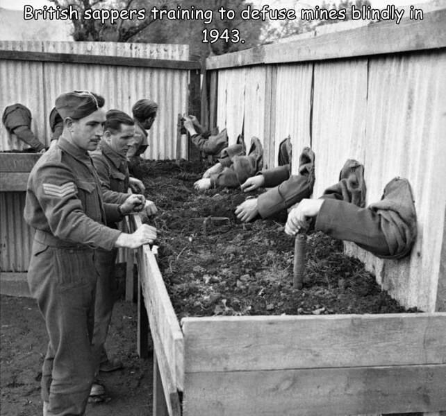 Obrázek bsappers
