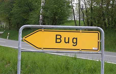 Obrázek bug