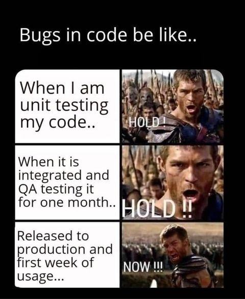 Obrázek bugs in my code be like