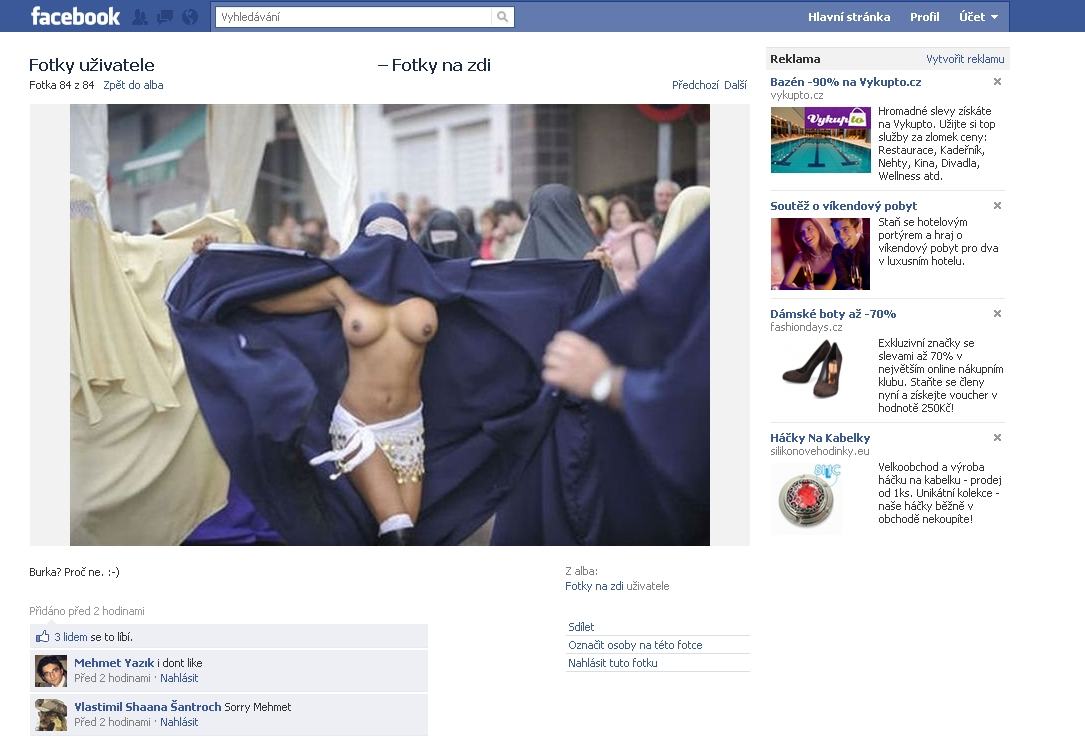 Obrázek burka