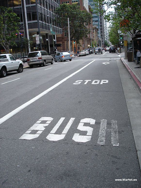 Obrázek bush stop