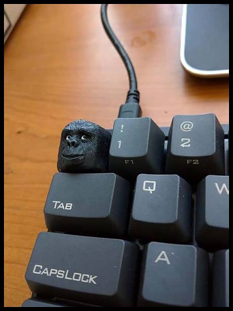 Obrázek button-gorilla