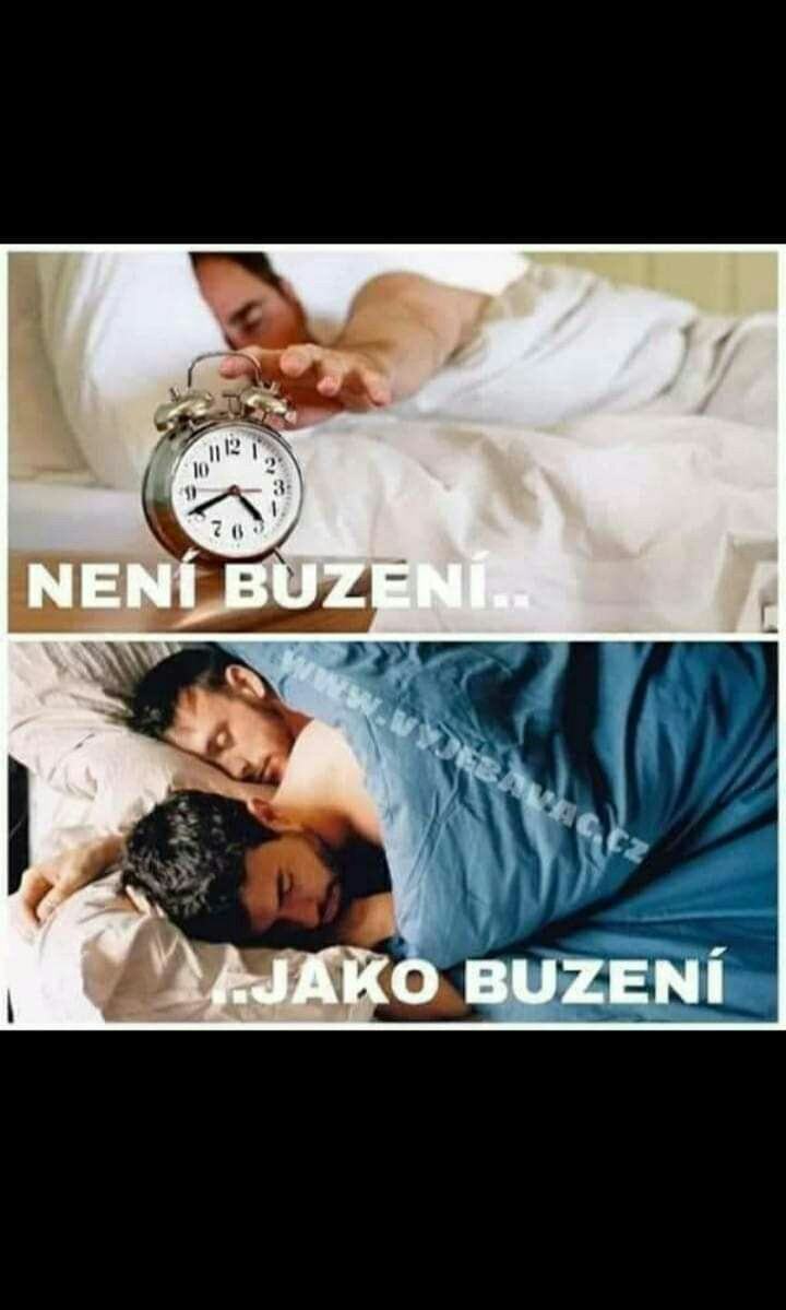 Obrázek buzeni&nbsp;buzneni