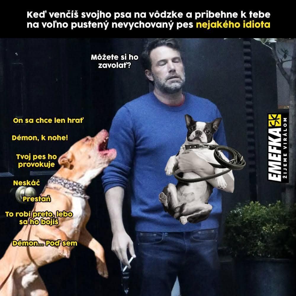 Obrázek byl&nbsp;to&nbsp;hodny&nbsp;pejsek&nbsp;vsechny&nbsp;zdravil