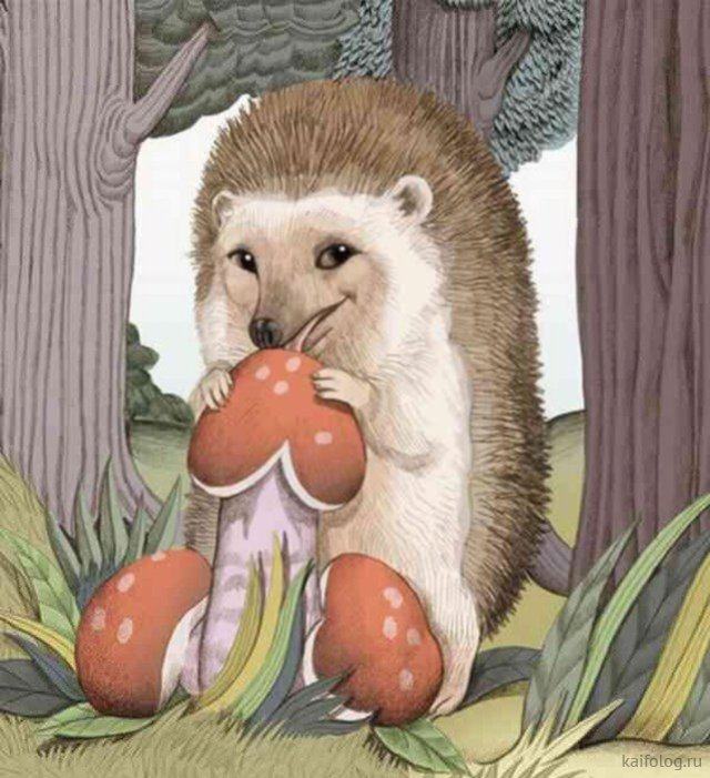 Obrázek c&nbsp;kaifolog&nbsp;1554544955&nbsp;014&nbsp;3