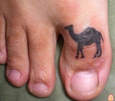 Obrázek camel toe