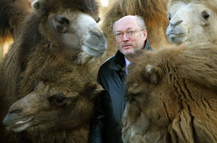 Obrázek camels