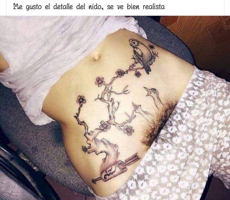 Obrázek capica bocianica