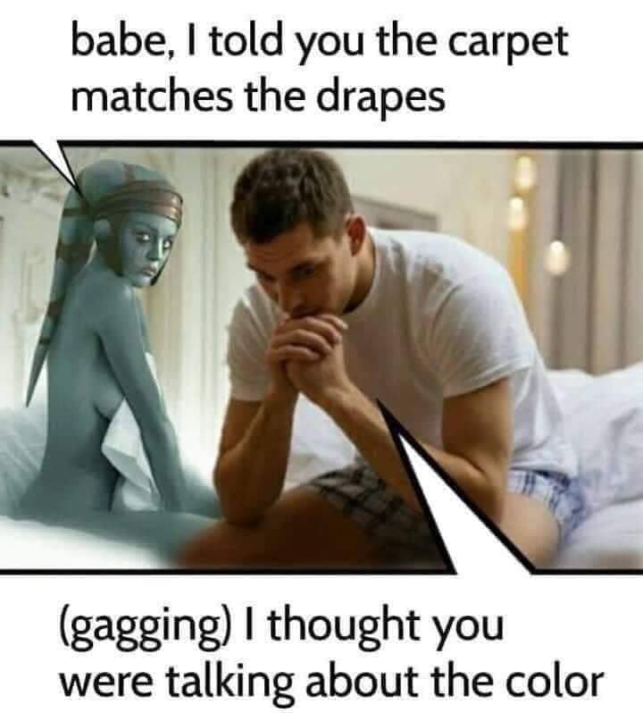 Obrázek carpet matches