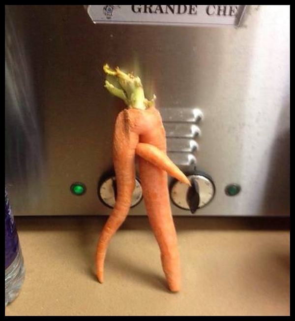 Obrázek carrot shemale