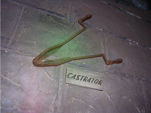 Obrázek castrator
