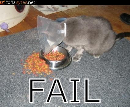 Obrázek cat-fail