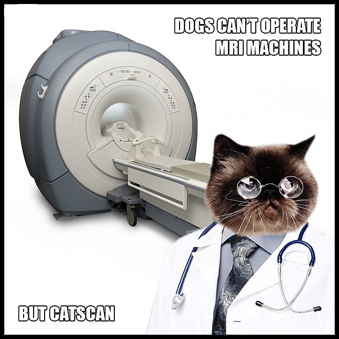 Obrázek catSCAN