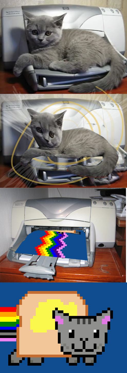Obrázek cat and printer videjnik first