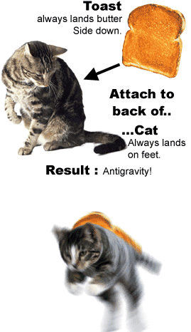 Obrázek cat anti gravity